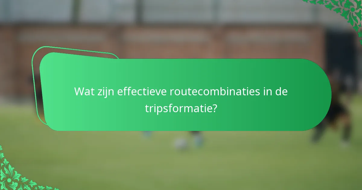 Wat zijn effectieve routecombinaties in de tripsformatie?