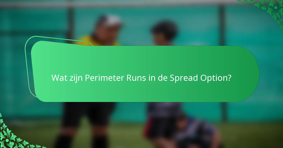 Wat zijn Perimeter Runs in de Spread Option?